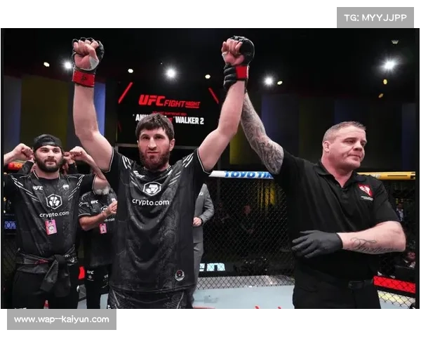 UFC 313：佩雷拉KO安卡拉耶夫成功卫冕轻重量级冠军